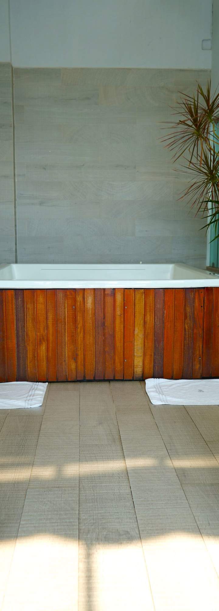 Suite Terraza