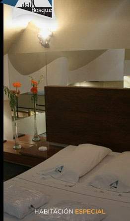 Hotel del Bosque