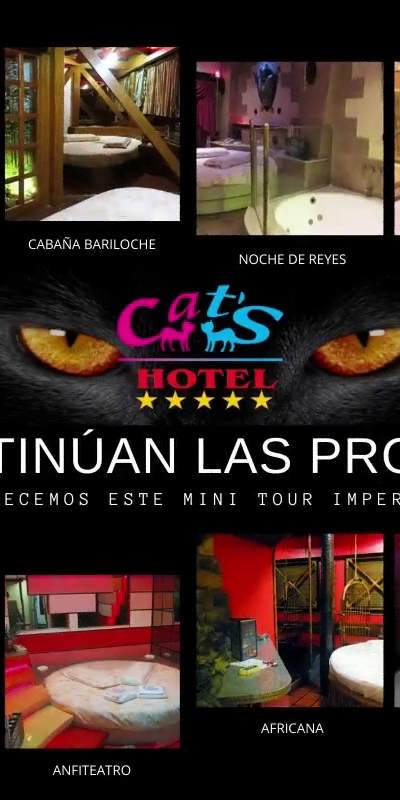 Hotel Cat's