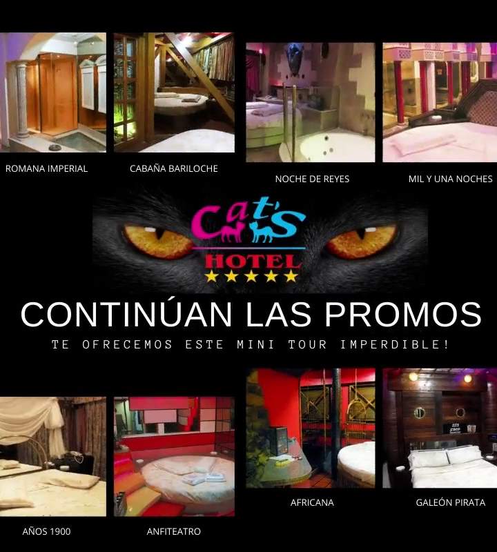 Hotel Cat's