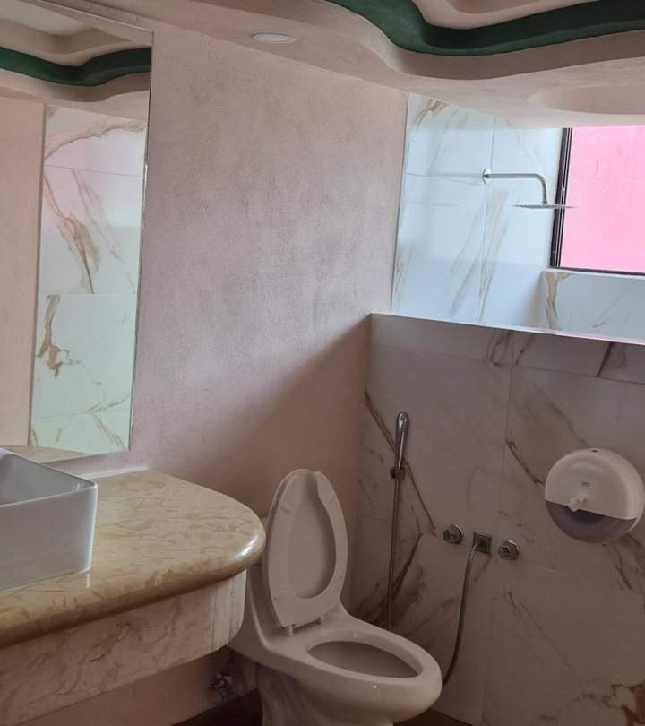 Flamingo Jacuzzi - Motel Silvergil, foto 5
