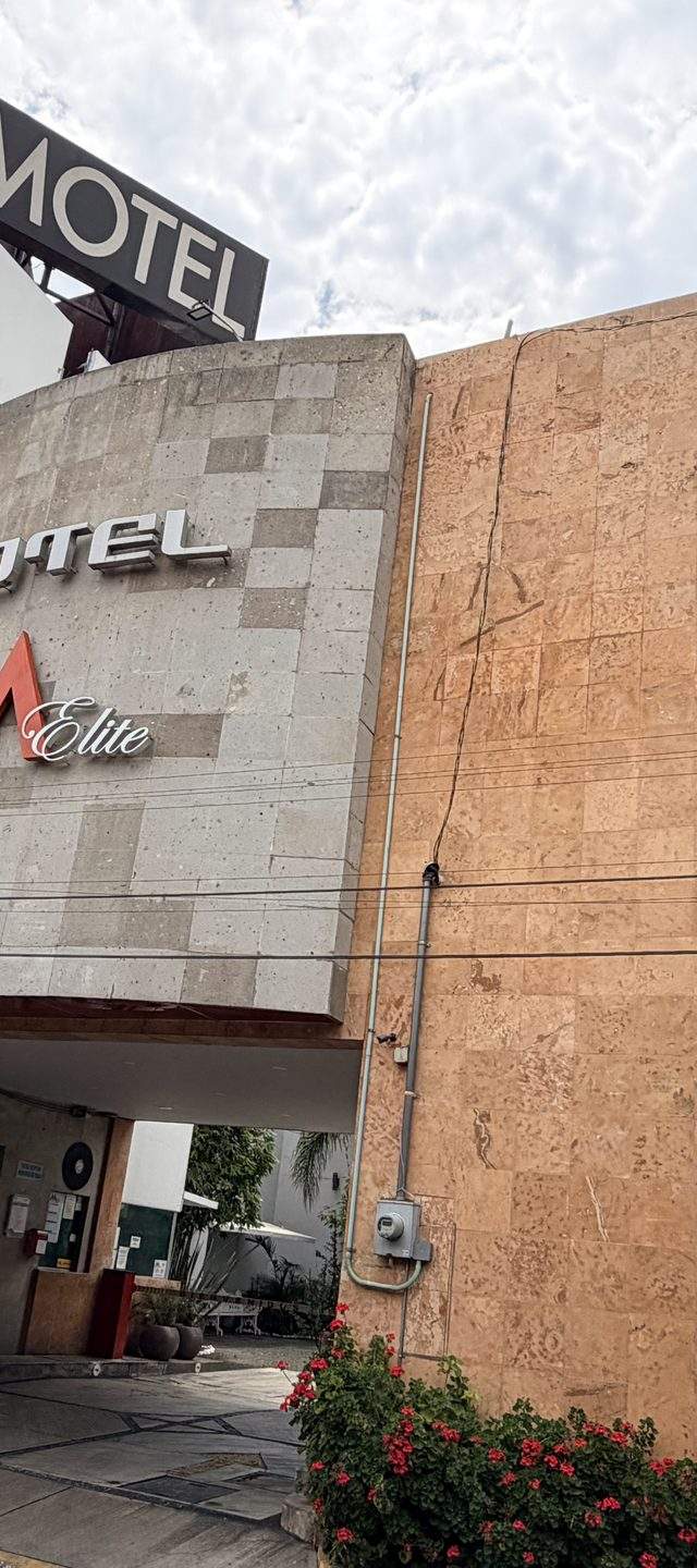 M Elite Orange M Elite Orange