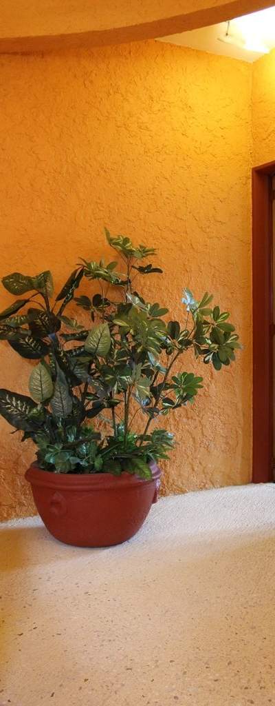 Motel Andújar, motel en Tlalnepantla de Baz - foto 4