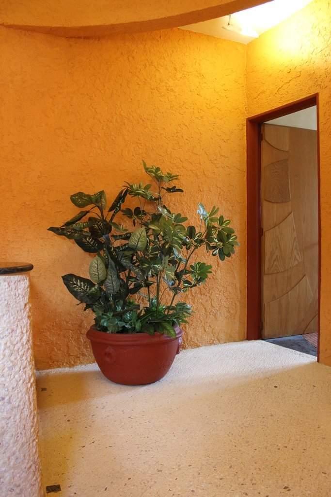 Motel Andújar, motel en Tlalnepantla de Baz - foto 4