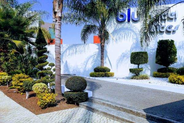 Blu Hotel & Suites Blu Hotel & Suites