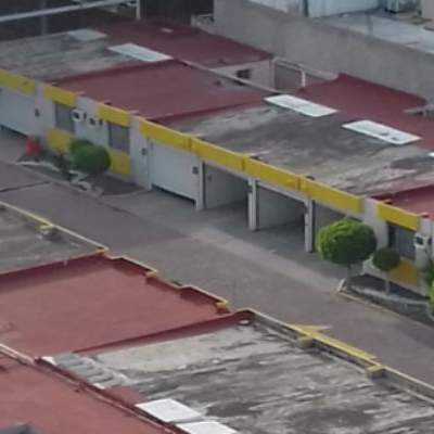 curated