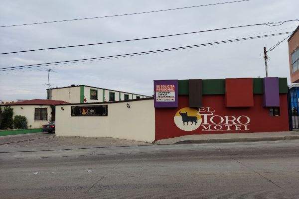 curated