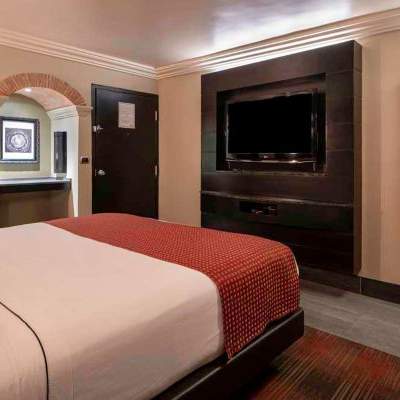 curated